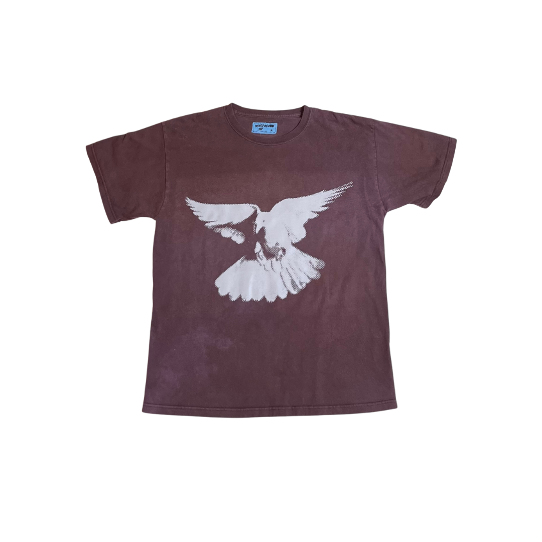 I CAN FLY T-shirt (Brown/M)