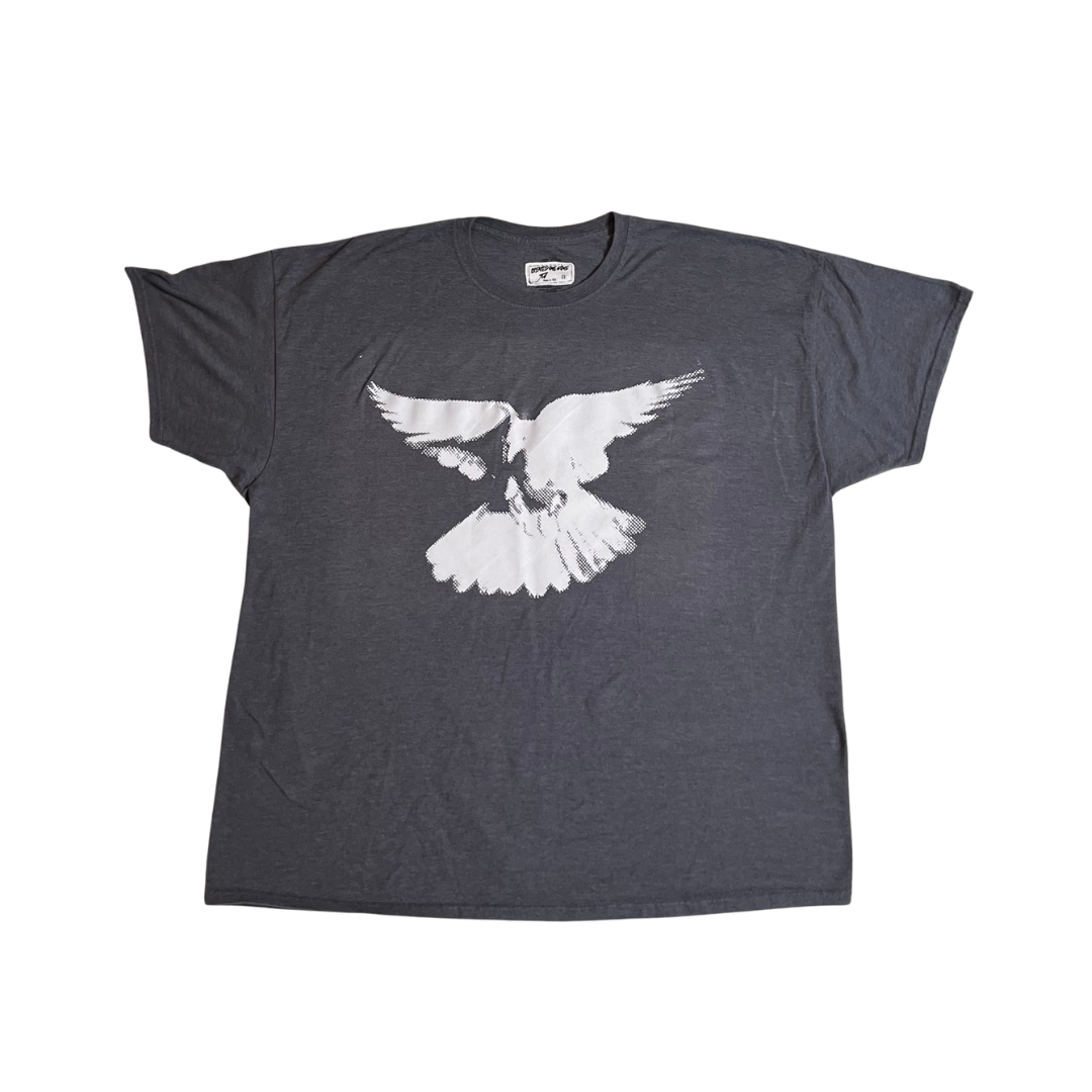 I CAN FLY T-shirt (Gray/2XL)