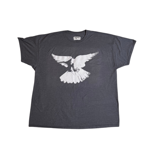 I CAN FLY T-shirt (Gray/2XL)