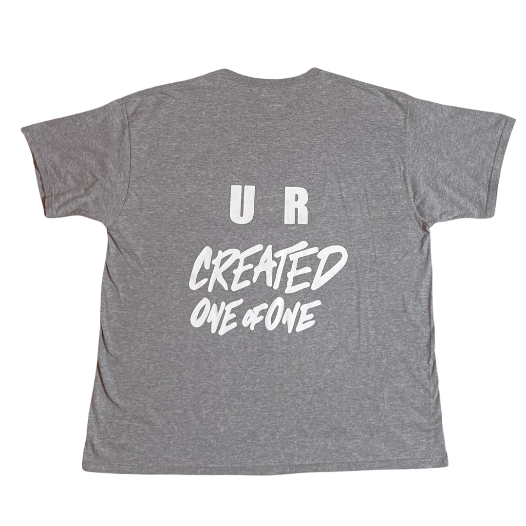 One of One T-shirt (Gray/2XL)