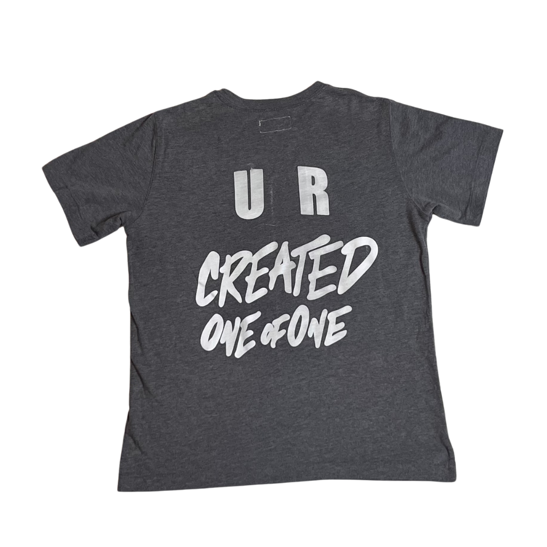 One of One T-shirt (Gray/M)